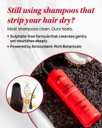 Wild Black Rice Everyday Shampoo