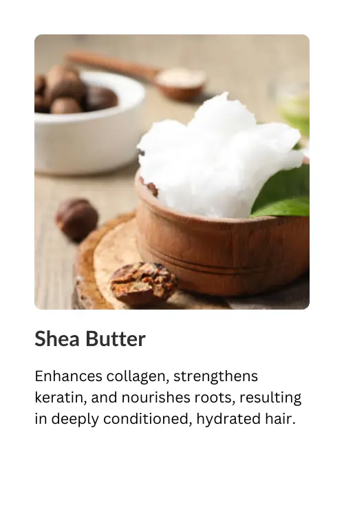 Shea Butter