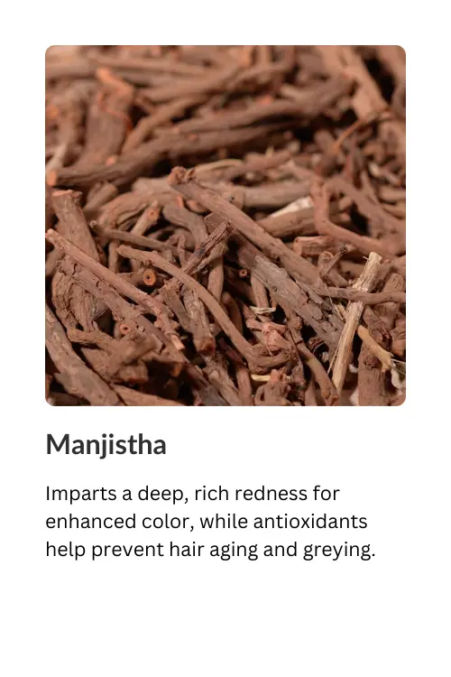 Manjistha