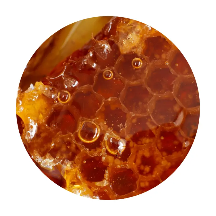 Honey Comb